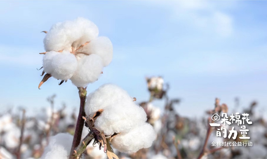 一朵棉花的力量05.jpg
