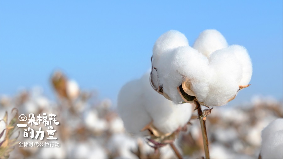 全棉時(shí)代一朵棉花的力量05.jpg