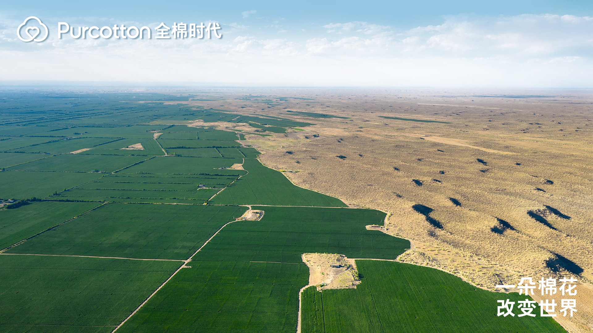 圖4 棉花多了，沙漠少了.jpg