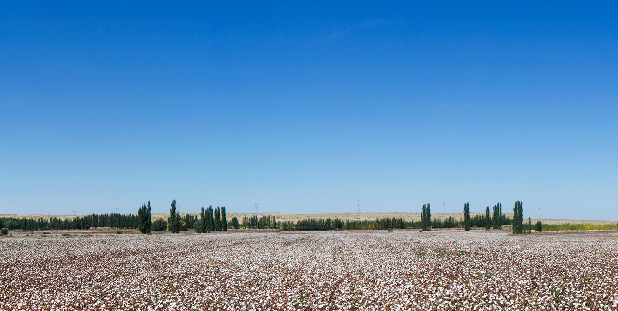 別讓蔚藍(lán)褪色
