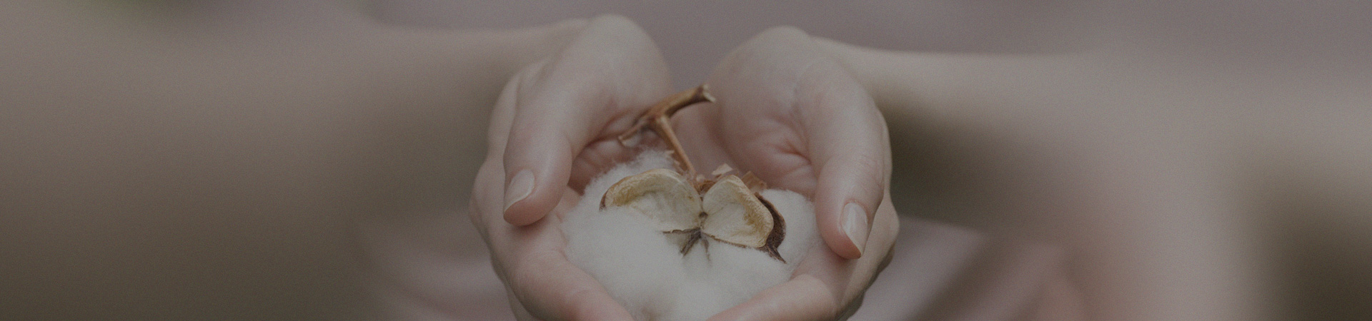 會(huì)員權(quán)益