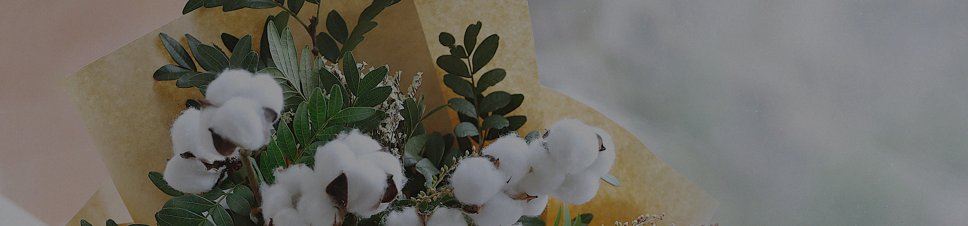 消費(fèi)者建議