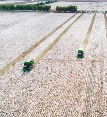 優(yōu)越的保暖性、舒適性、透氣性