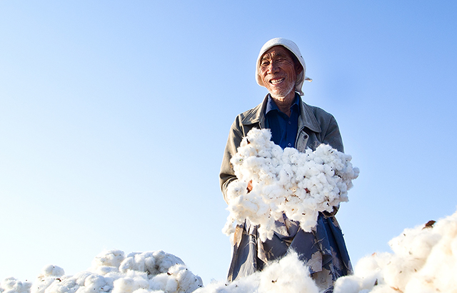 王振軍《豐收了》