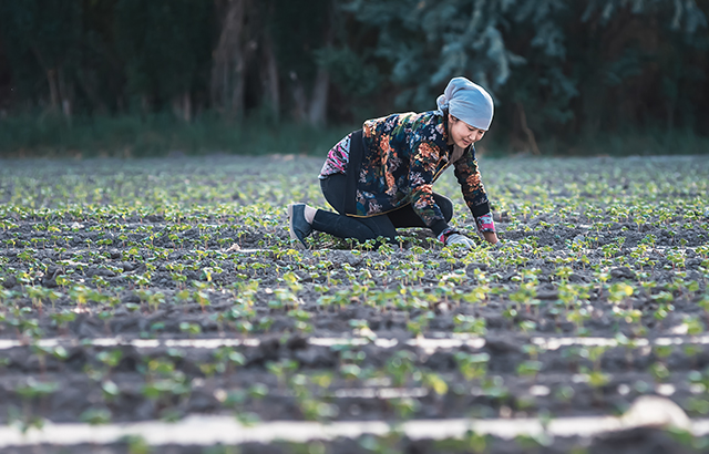 冷空氣《看到希望》