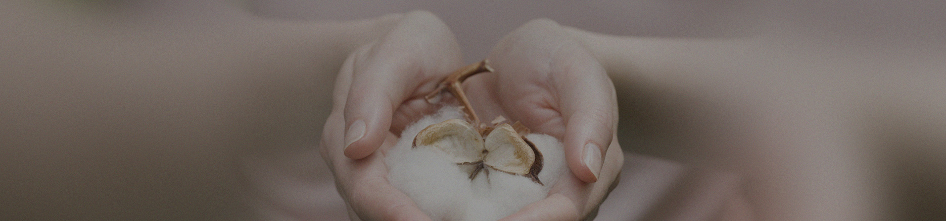 加盟全棉時(shí)代