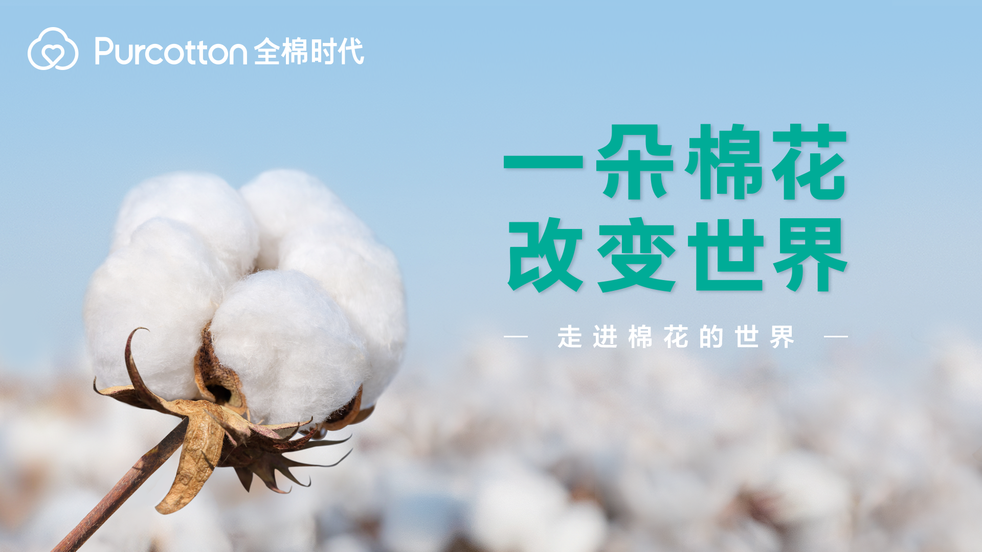 一朵棉花改變世界  全棉時(shí)代溯源紀(jì)錄片上線(xiàn)